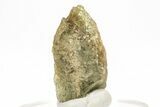 Green Titanite (Sphene) Crystal - Brazil #214906-1